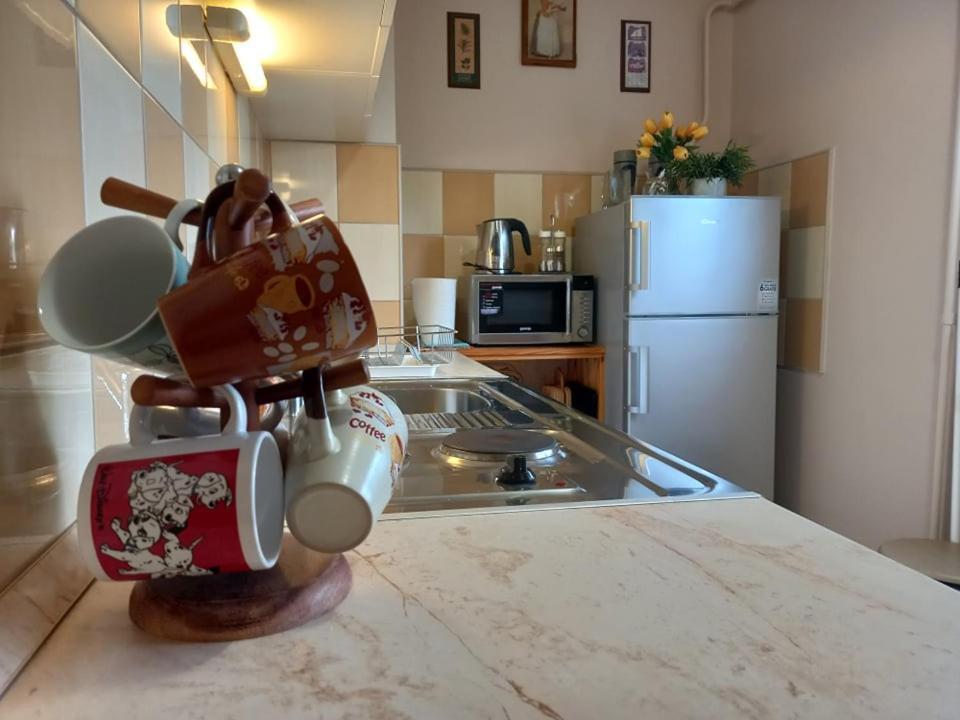 Zenit Apartman Makó Exterior foto